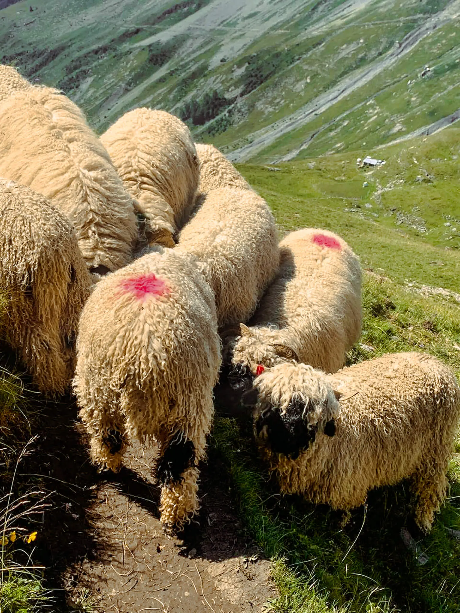 Fabienne et Ghislaine-03